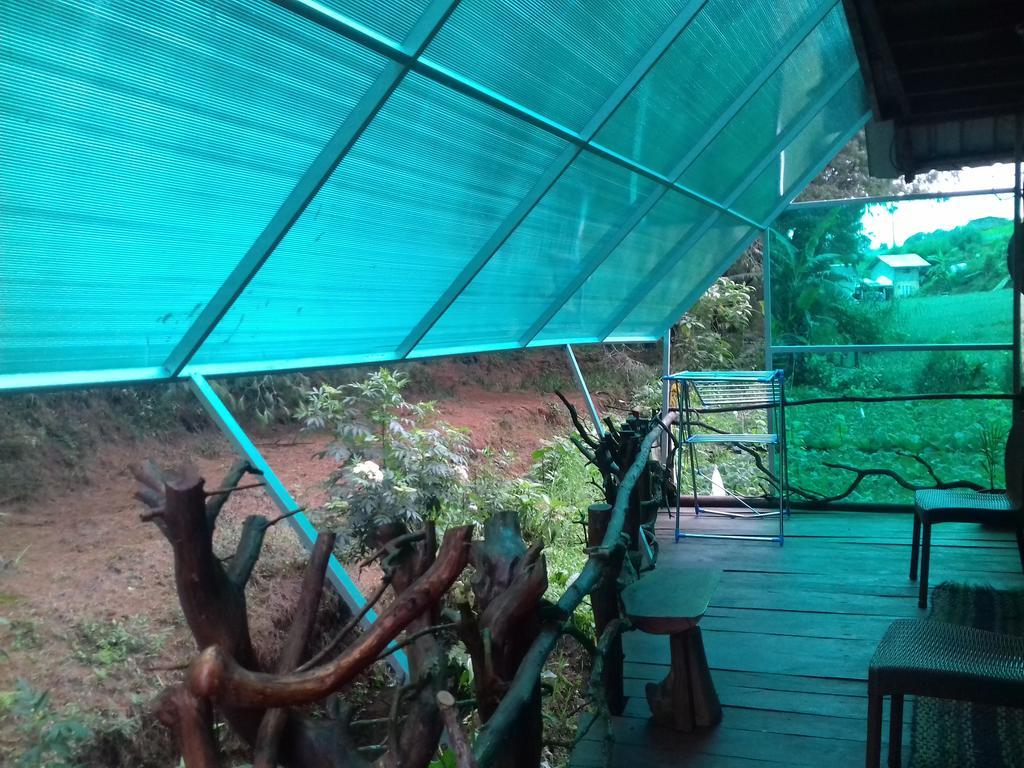 Moon Plains Forest Log * Nuwara Eliya