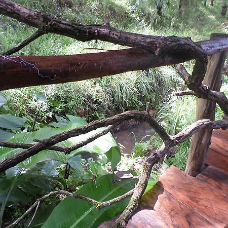 Moon Plains Forest Log Nuwara Eliya Room photo