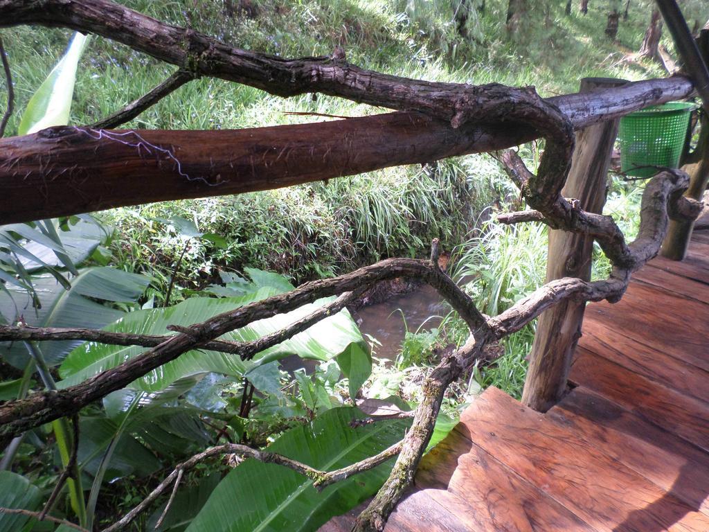 Moon Plains Forest Log Chalet *